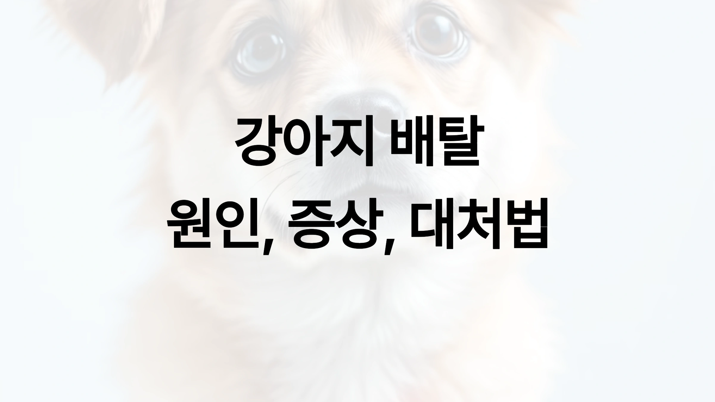 🐶 강아지가 배탈 났을 때 피해야 할 음식