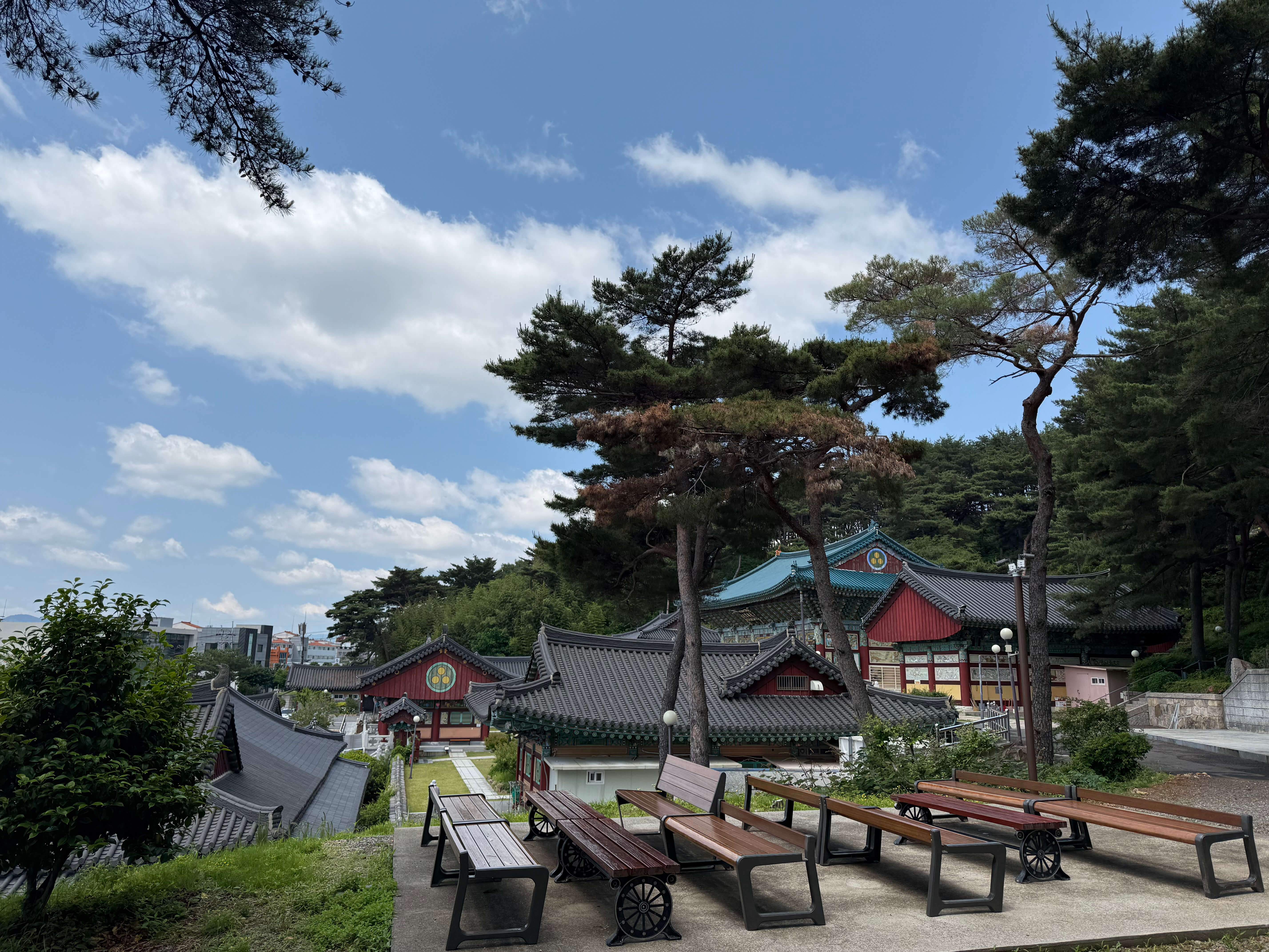 울산 백양사