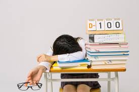 탐구 과목 조합 추천 TOP3 (2025 최신) 관련사진