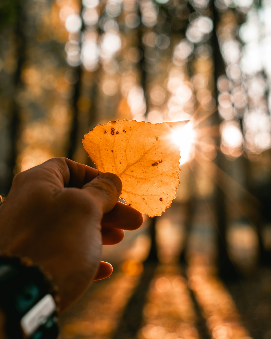 육아휴직급여 인상: 2024년 최신 소식과 함께 알아보는 변화 관련 이미지 2