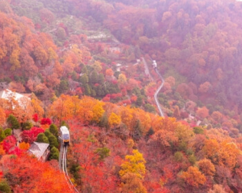 단풍시기(예상·절정)_3