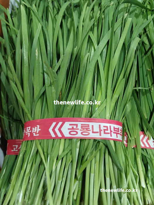 부추 효능 부작용 알리신 성분