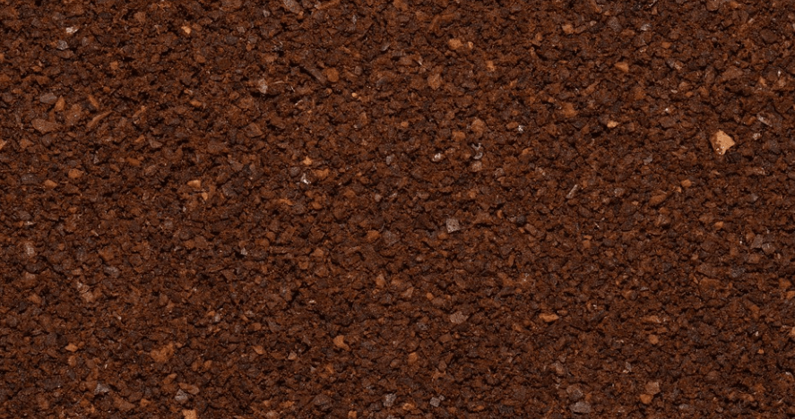 커피 찌꺼기 활용법으로 개미 퇴치가 가능하다