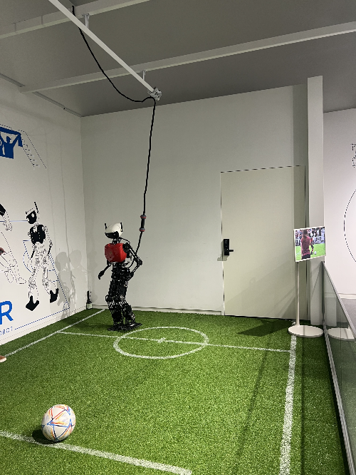 축구하는 로봇 사진