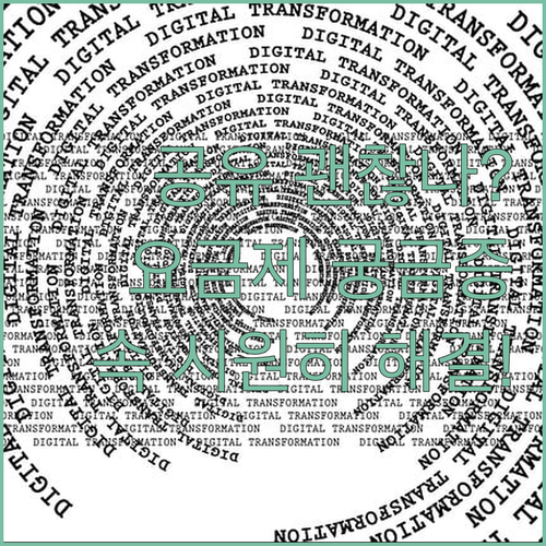 넷플릭스 계정 공유 괜찮을까 요금제