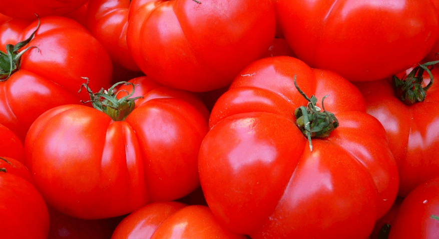 췌장에 좋은 음식 사진 토마토