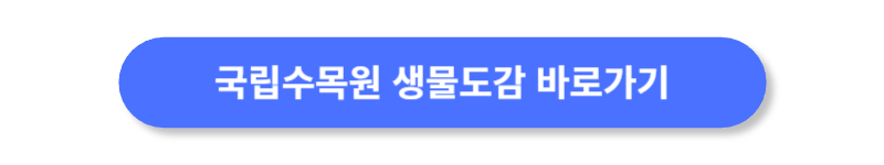 버튼