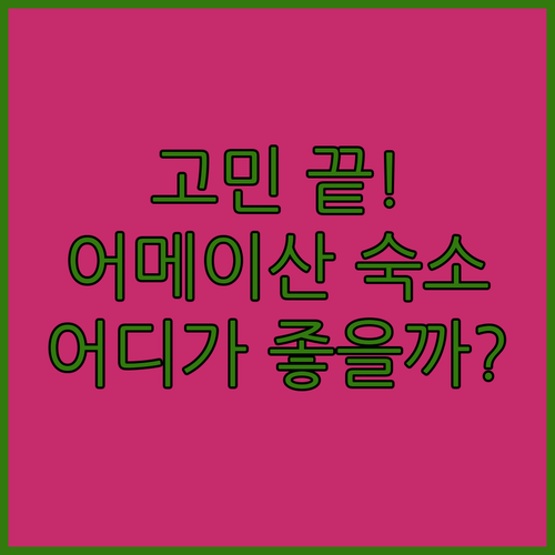 어메이산 숙소 고민 끝! 진딩 호텔 ..