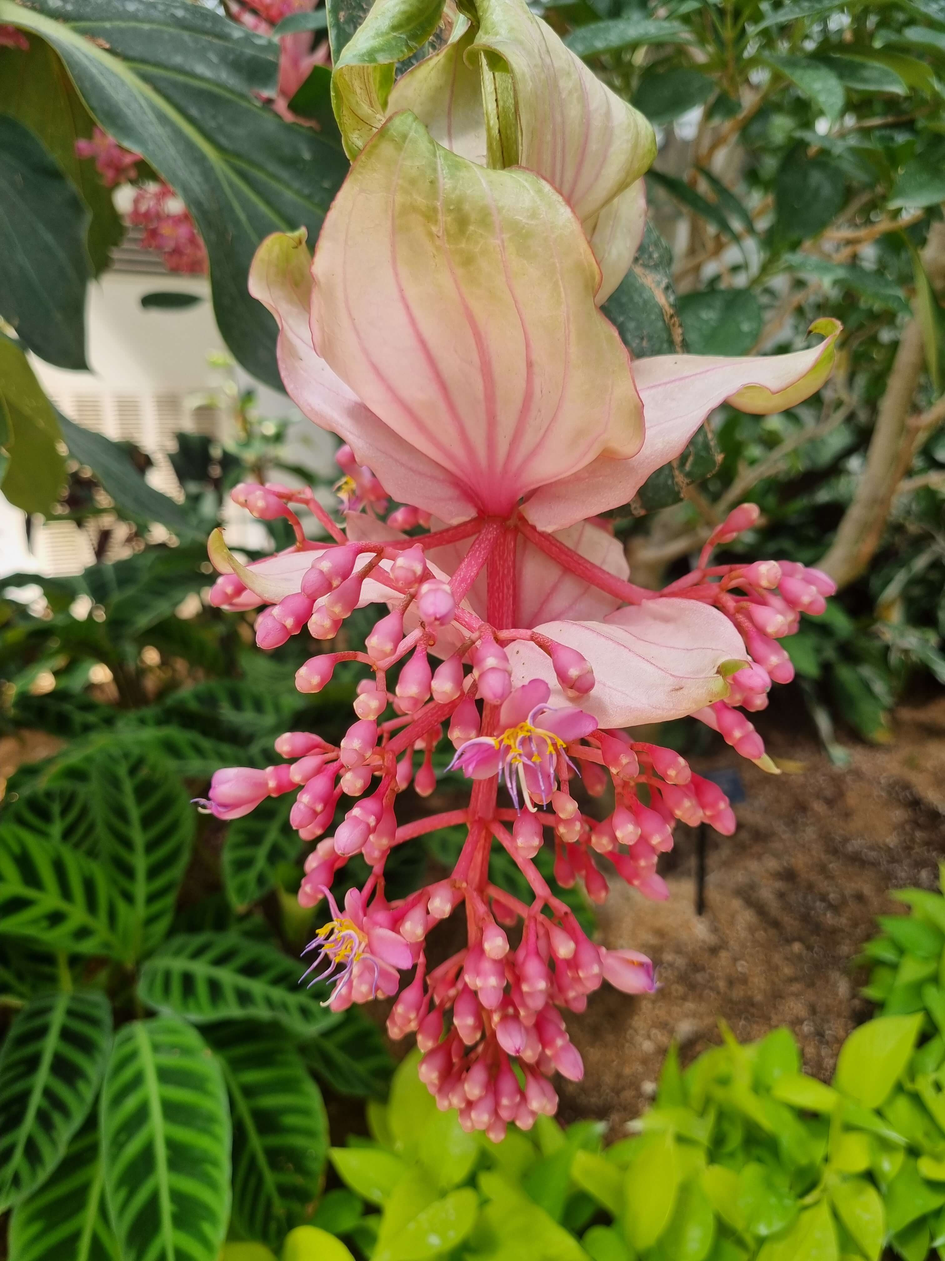 부천 가볼만한 곳 자연생태공원