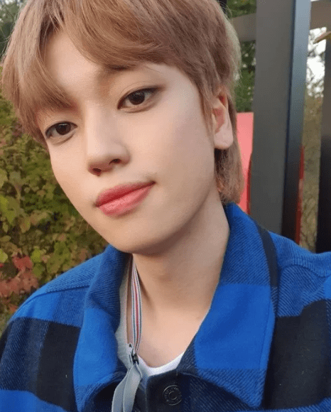 2024 니엘 뮤직 토크쇼 '니엘의 샤한 밤' Ep.4,5 티켓 예매 가격 게스트 공연 일정 정보 티켓링크