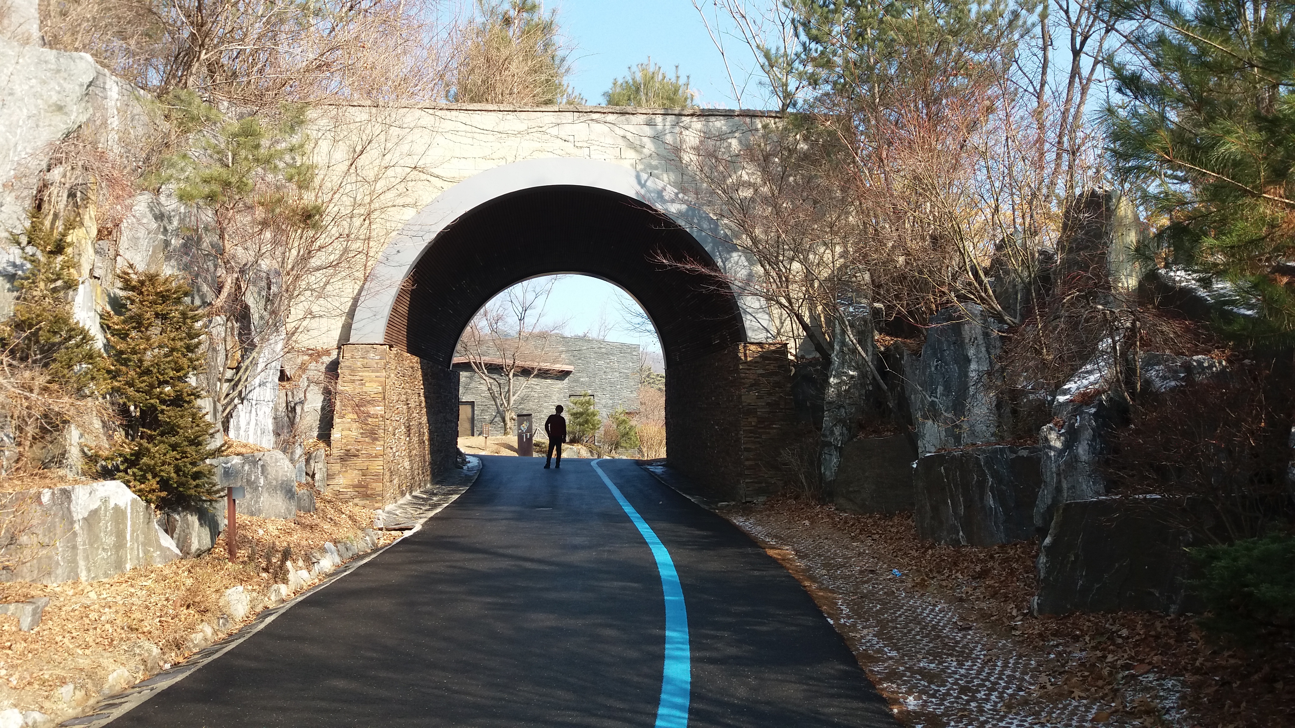 ์ ์ฒ ๋ฆฌ์๋ฆฌ์กฐํธ