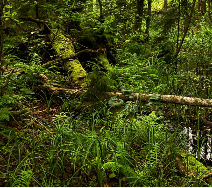 명지산 자연경관 사진