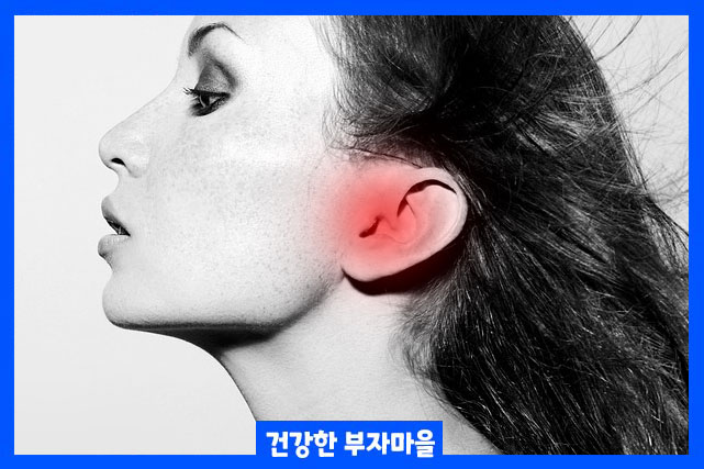 청각장애 등급 판정표