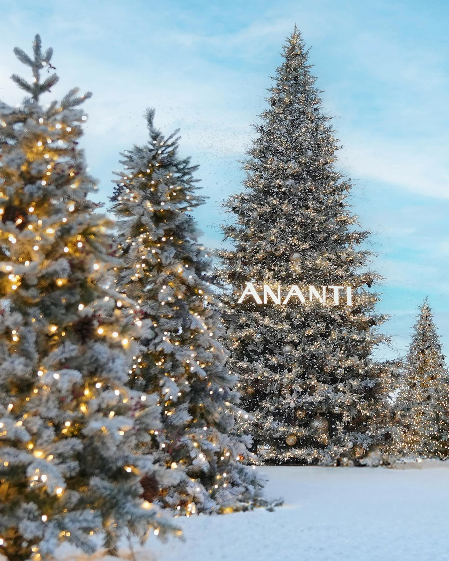 아난티 크리스마스 트리 에 LED 전구가 들어온 모습