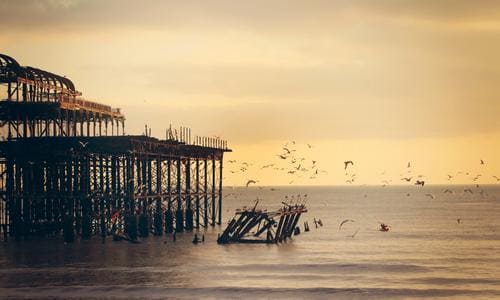 통풍의 증상과 치료 내가 직접 정리해본 진실 알아보기