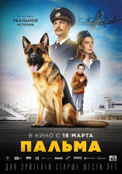 《팔마 (A Dog Named Palma, 2021)》 – 줄거리, 인물, 감상 포인트, 수상, 제작 비하인드