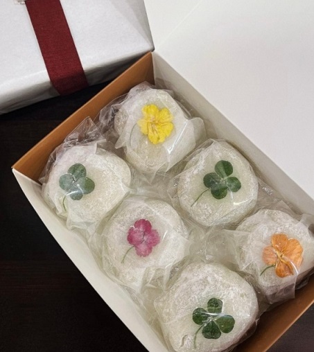 6시내고향-공주-인절미-알밤인절미