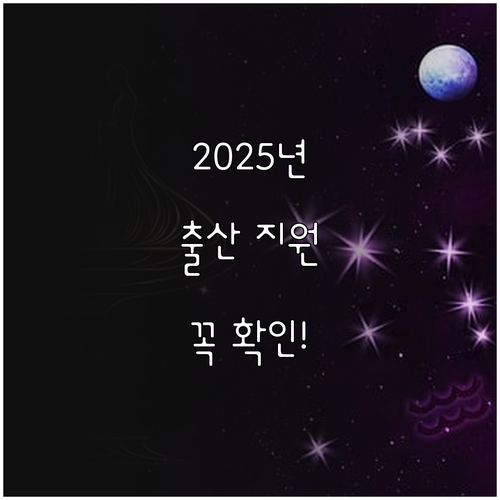 2025년 출산 가정을 위한 산모·신..