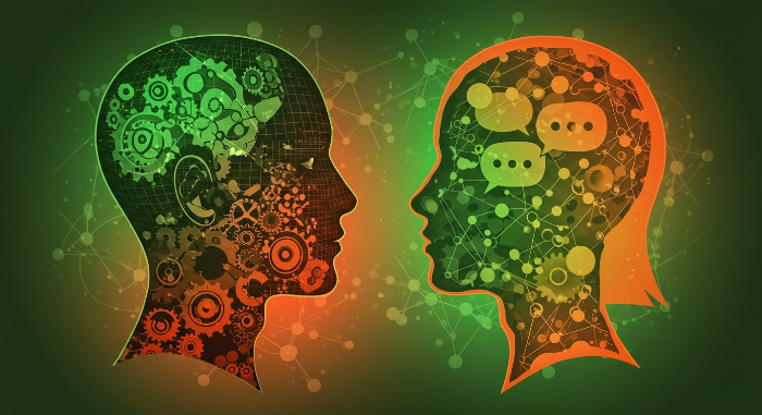 남자 여자 두뇌