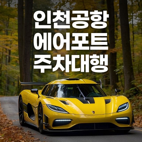 인천공항 제1여객터미널 에어포트 주차대행