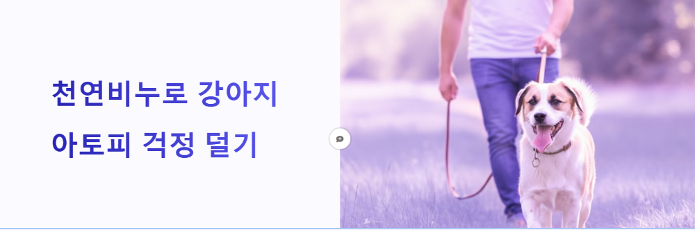 행복한 산책길