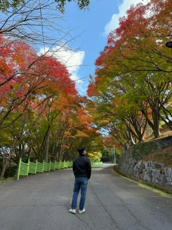 단풍구경 전국 명산 50대 이상 안전한 등산로 추천_23