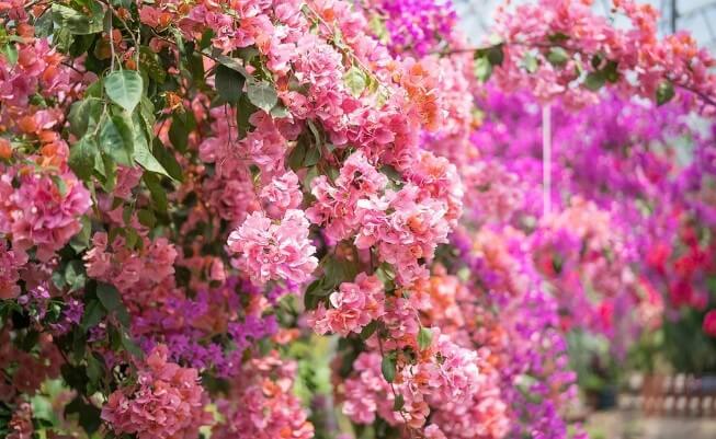 6월 제주도 가볼만한 곳