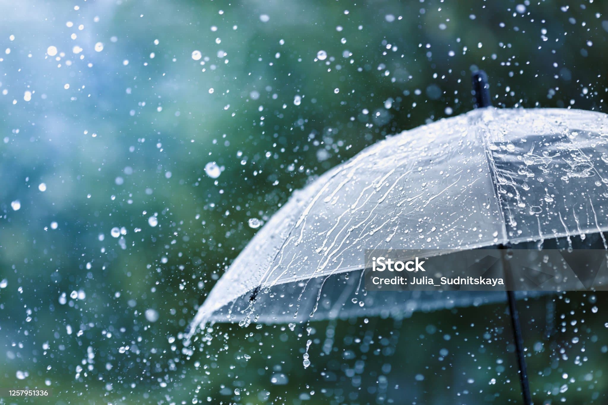 장마철 불쾌지수를 낮춰주는 냄새 & 곰팡이 방지템 시장