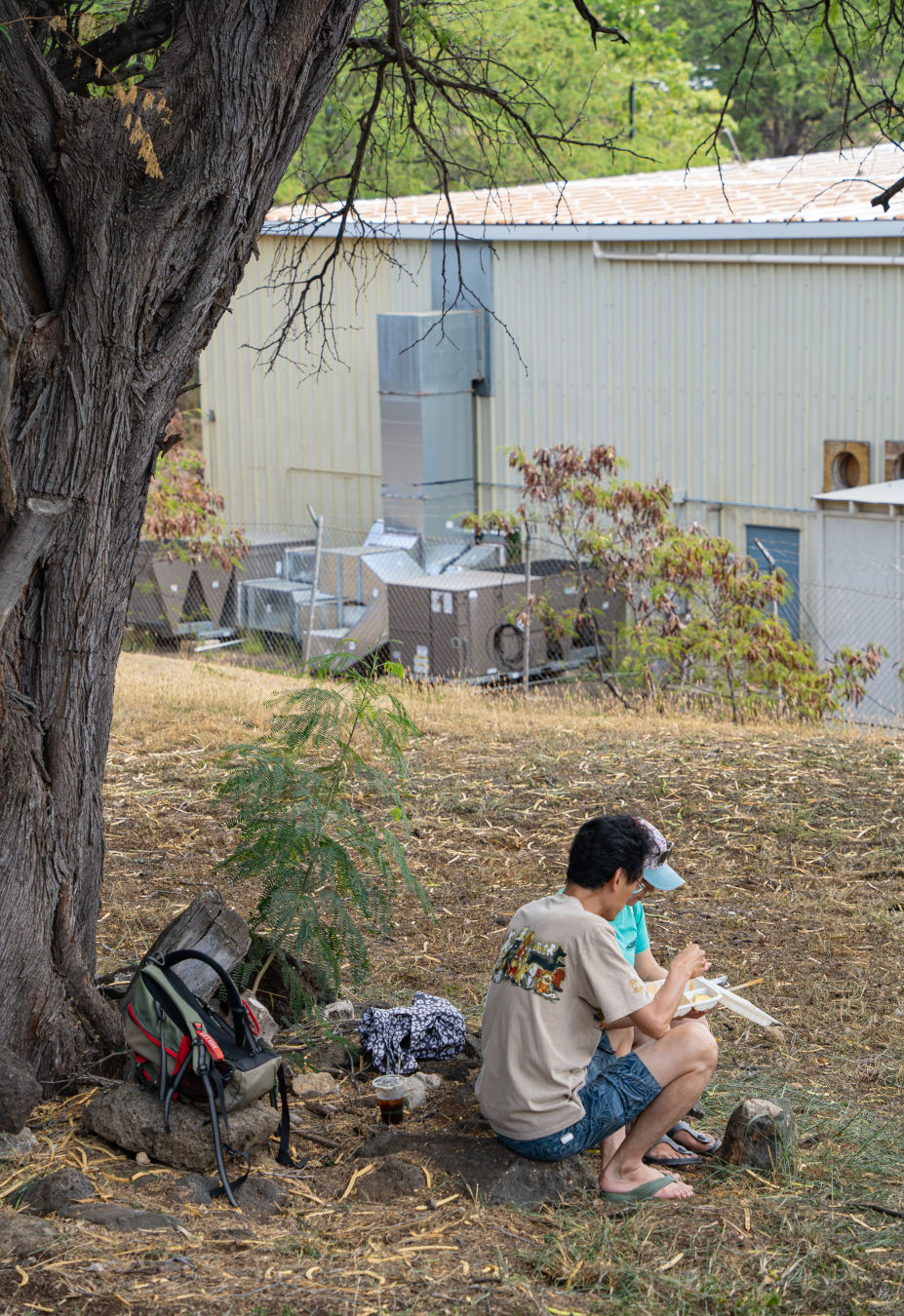 하와이 KCC 파머스 마켓