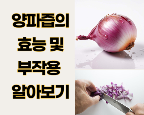 양파즙의 효능 및 부작용 알아보기