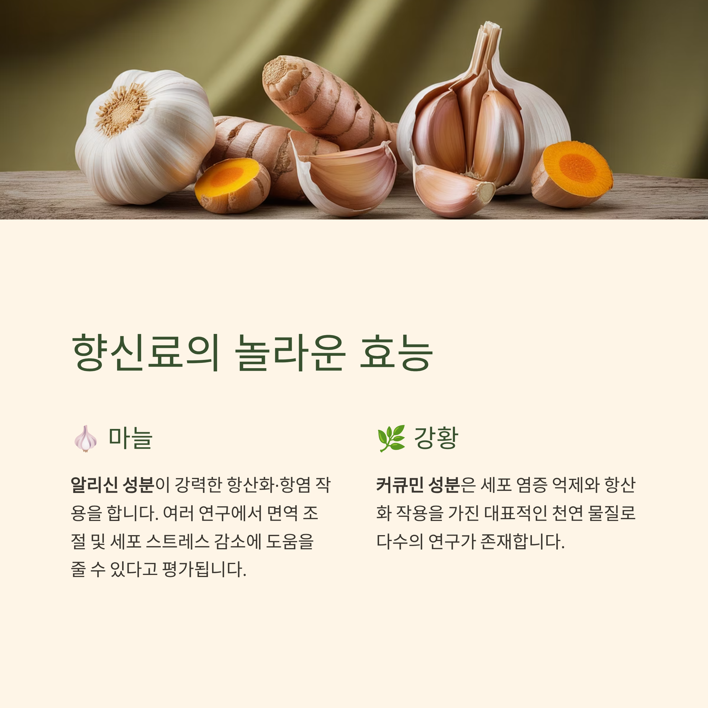 향신료의 놀라운 효능