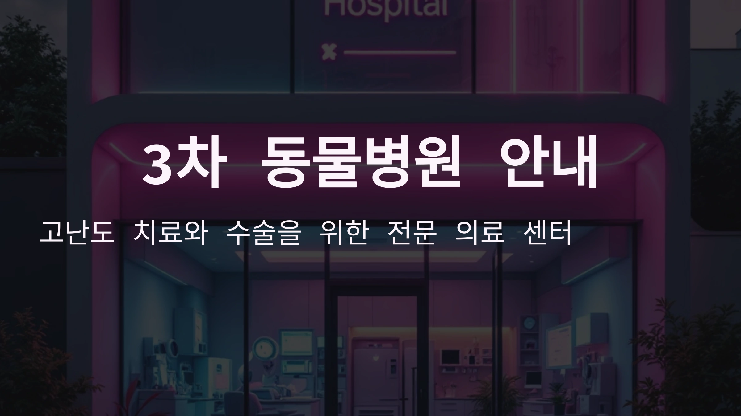 🐶 3차 동물병원이란 위치와 진료 안내 🏥