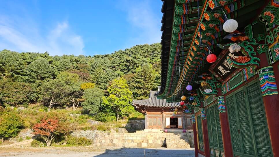 김제 청룡사 : 어머니의 산에 깃든 푸른 용의 숨결 호남의 영산 모악산에 깃든 수행 도량