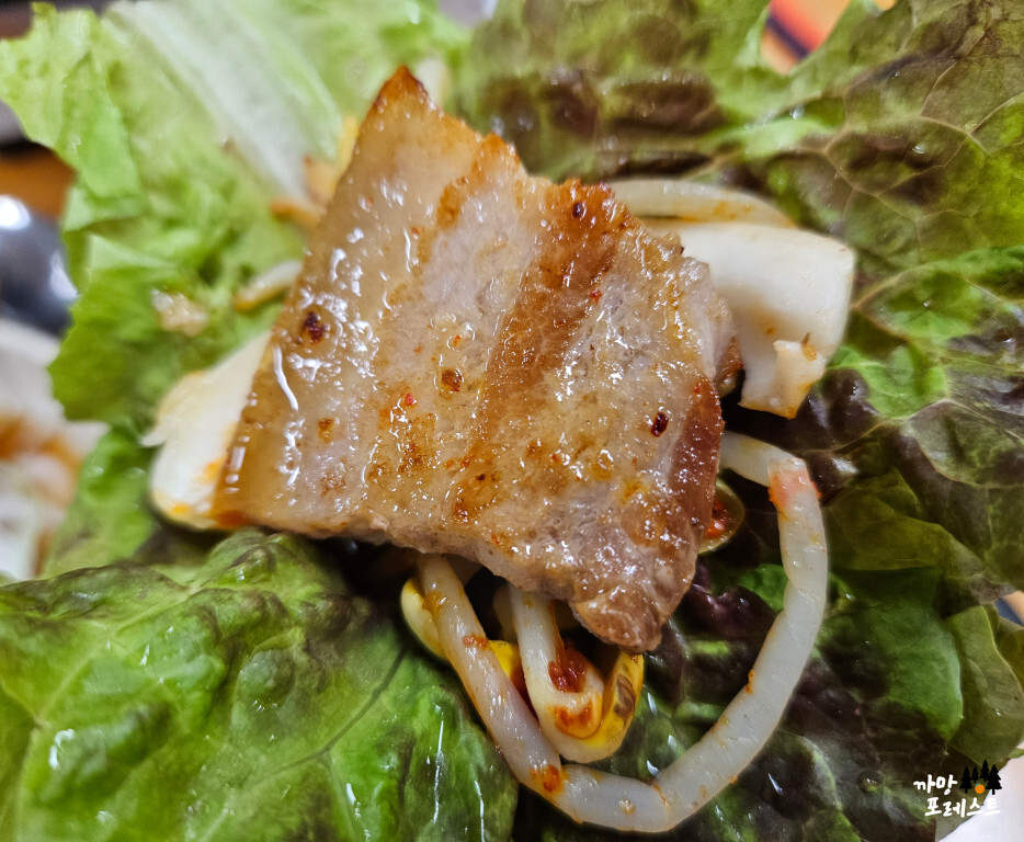 진토 김치 생고기 상추쌈