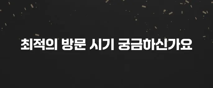 베트남 여행에 적합한 계절입니다!
