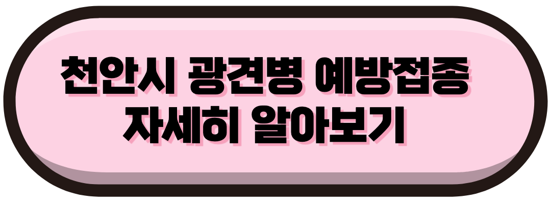 천안 광견병