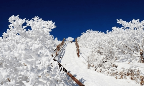 겨울 기차여행 추천지