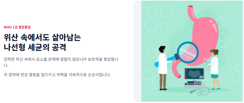 헬리코박터균 원인