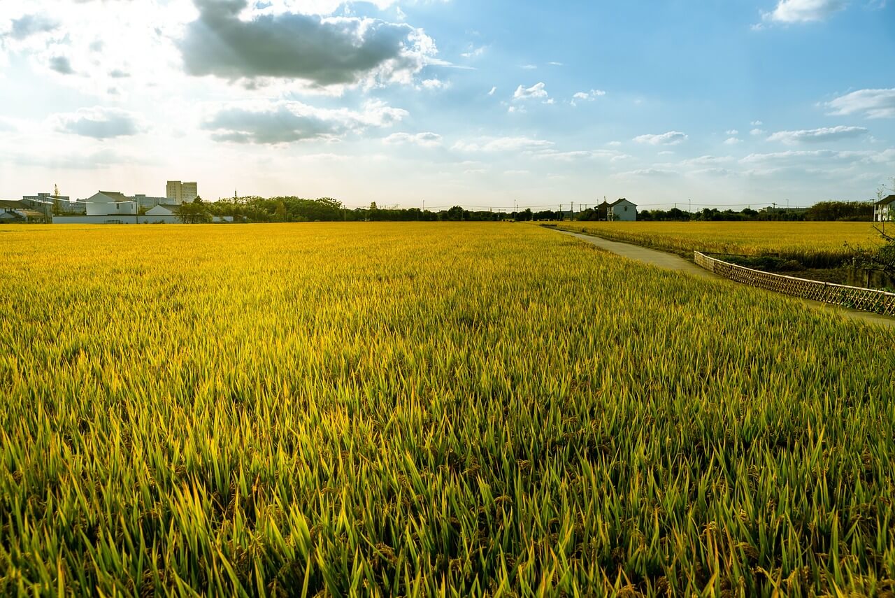 상속자가 공사 매각을 선택했을 때 준비해야 할 서류와 절차