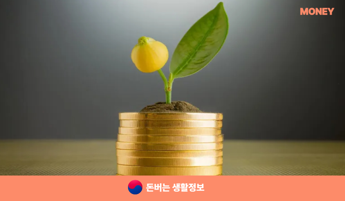 제2금융권대출