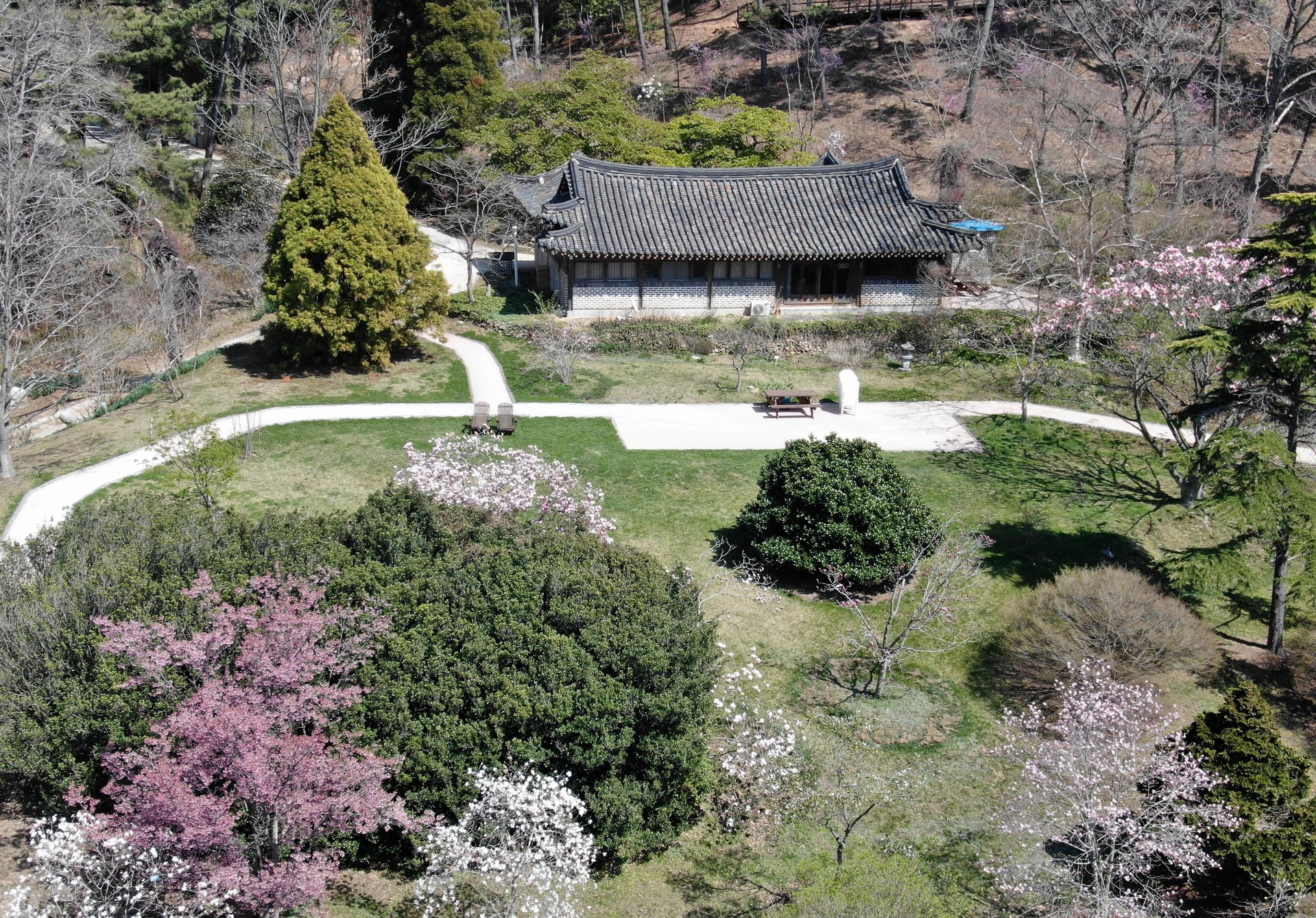 천리포수목원 봄축제 태안 꽃축제 목련 개화시기 충남 봄여행 가볼만한곳 맛집 카페 벚꽃 명소