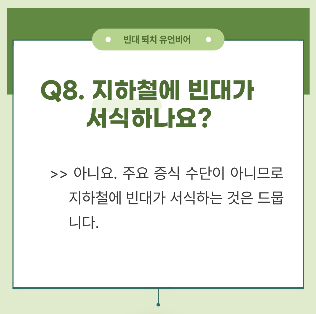 빈대 퇴치 방법 및 빈대 퇴치 유언비어(+2024)