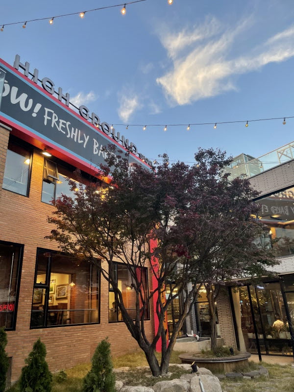 ํ์ด๊ทธ๋ผ์ด๋ ์ ๋นต์