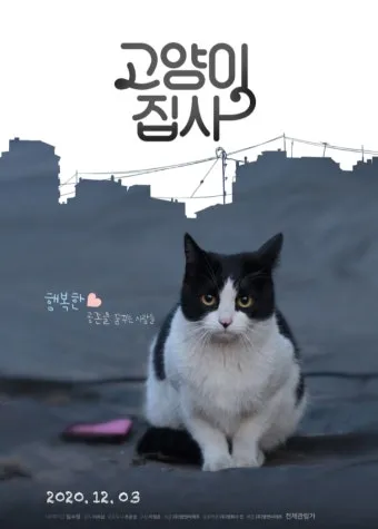 고양이가 집사를 사랑할때 하는 행동_13