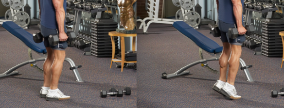 종아리 운동, 카프레이즈