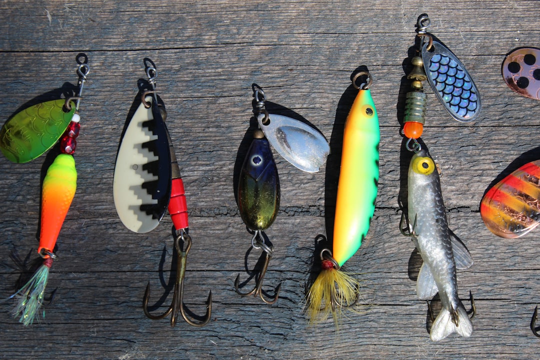 Fishing.