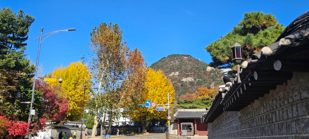 당일치기/국내/나들이/서울/청와대/사랑채