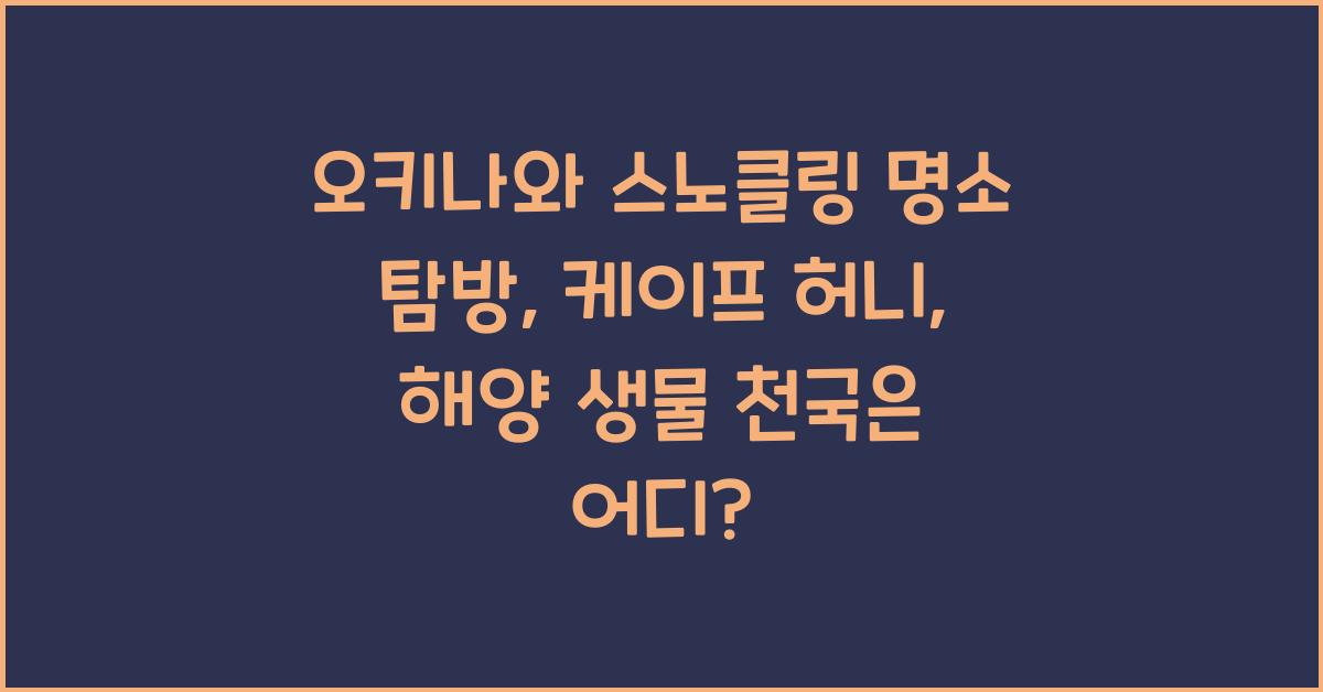 오키나와 스노클링 명소