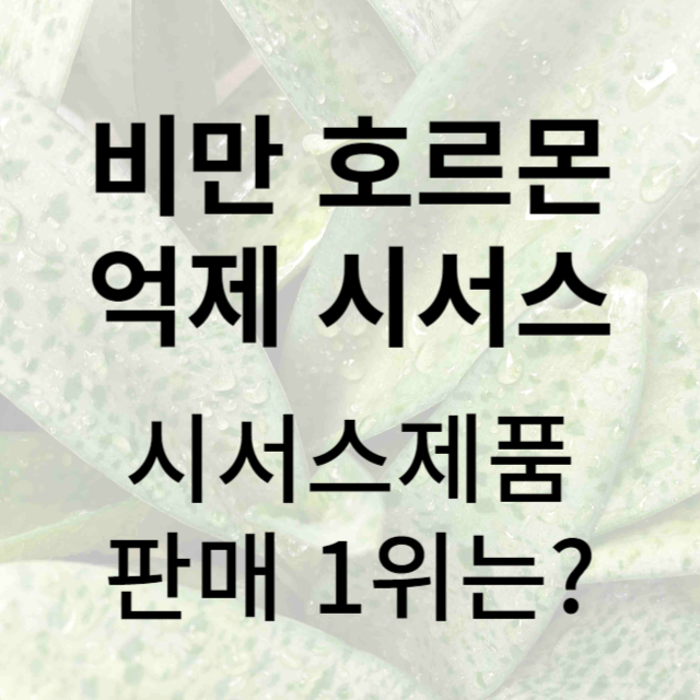 시서스 다이어트