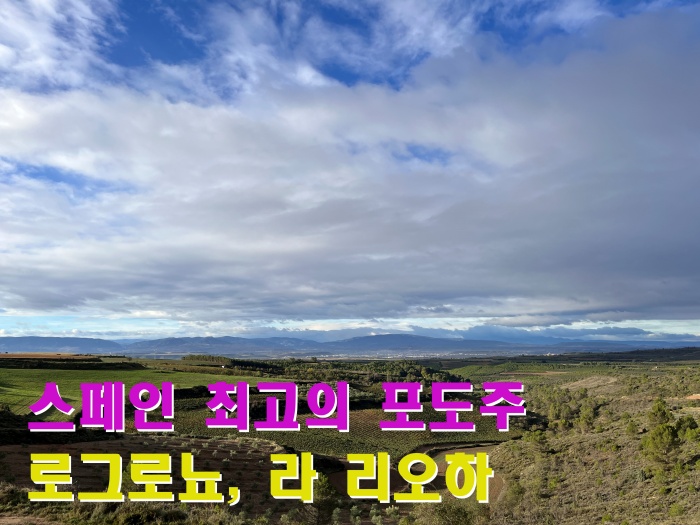 산티아고 순례길 후기, 라 리오하